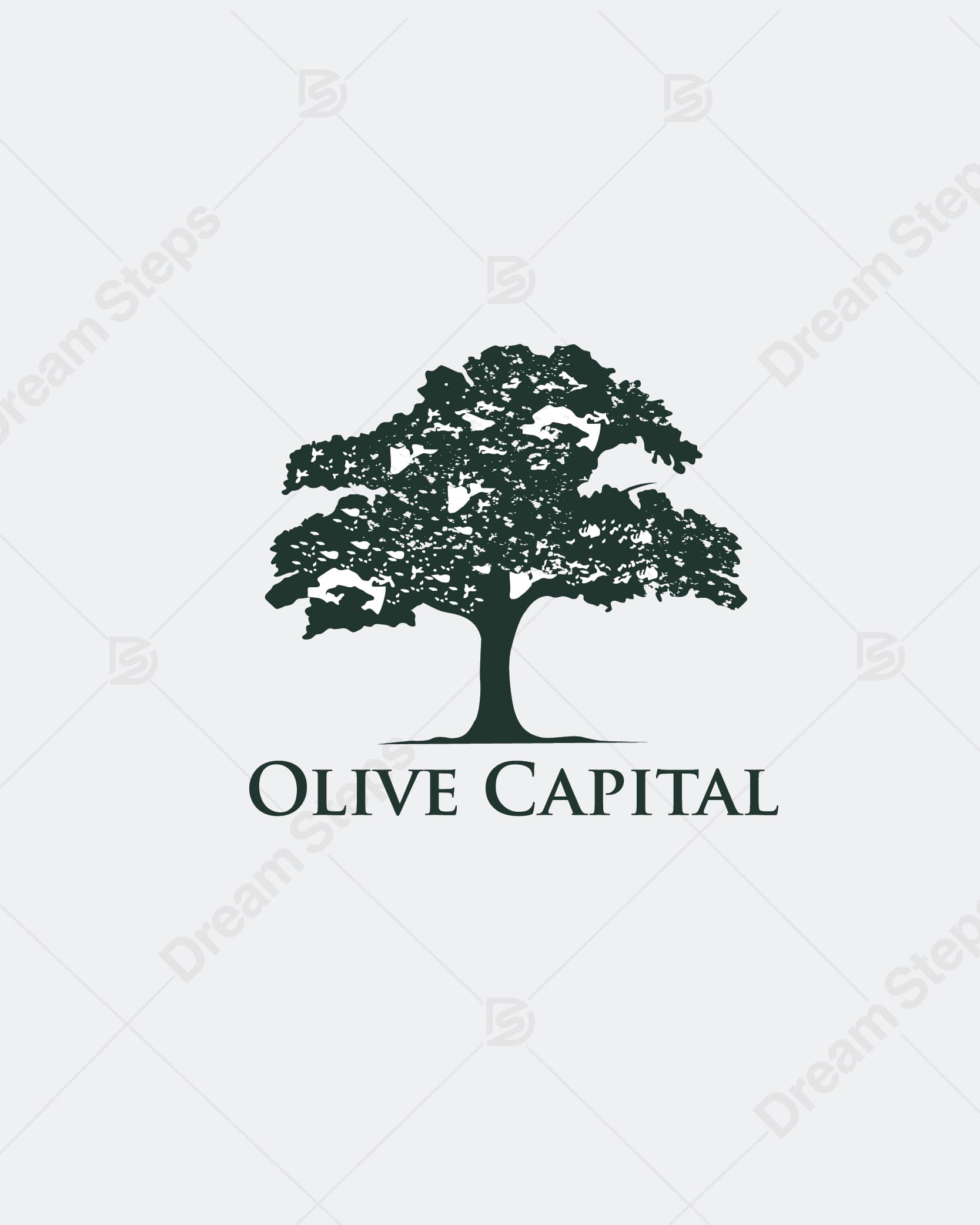 Olive Captial
